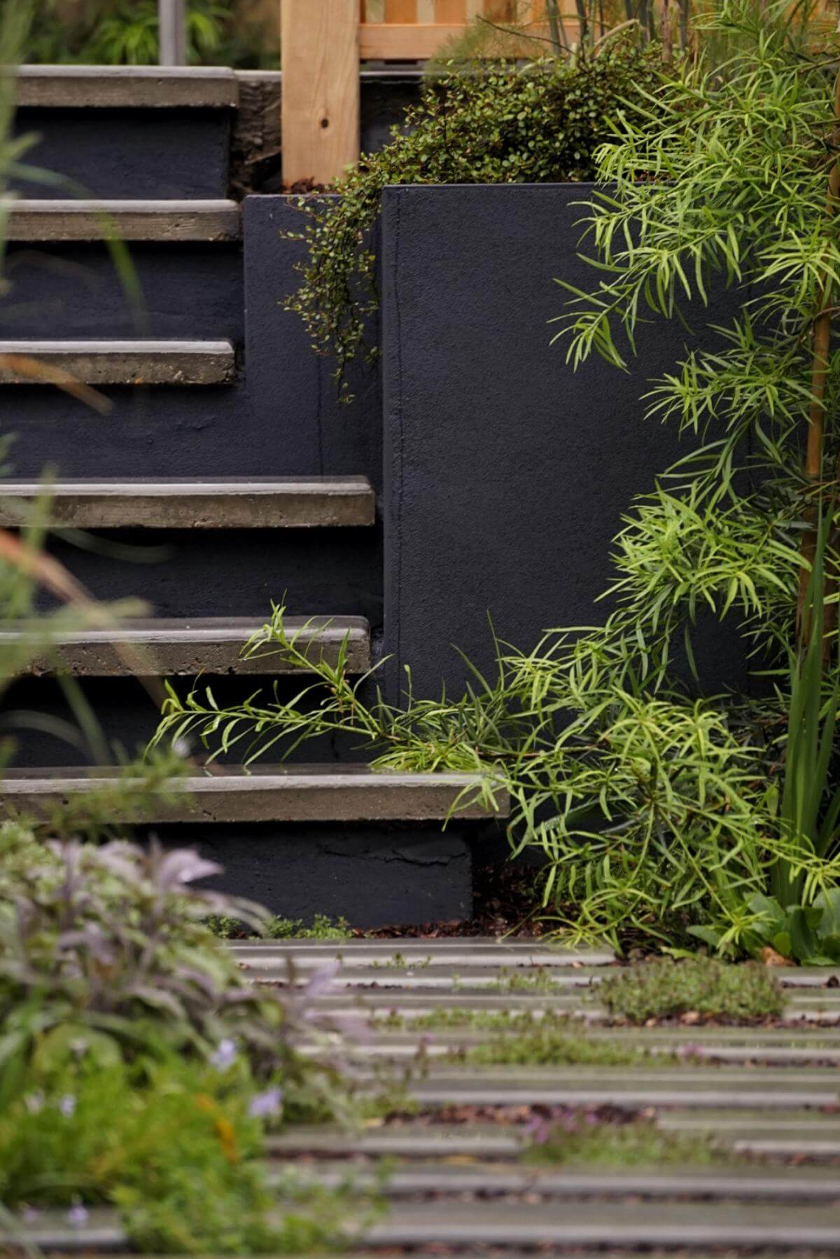 Modern garden patio with dark stone stairs and plants.