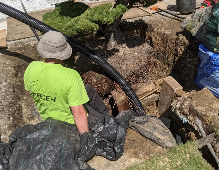 A man in a green shirt is diligently working on a tree, tending to its care and maintenance.