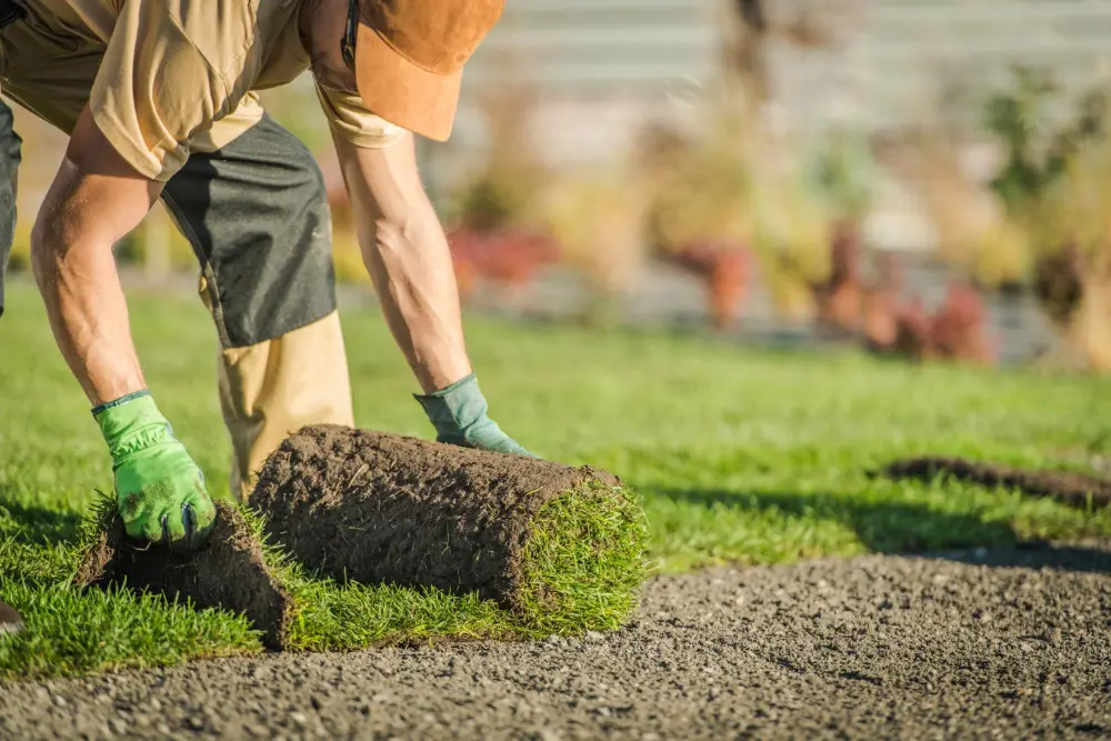 A man laying sod on a grassy area, creating a lush green lawn.