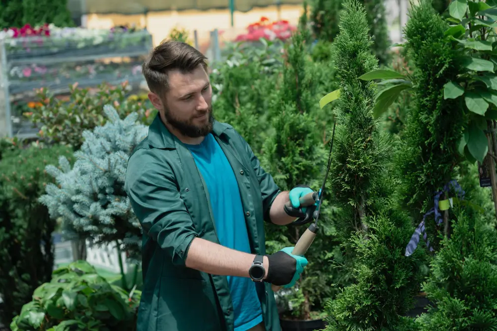 A man in a green shirt trimming a tree with pruning shears.